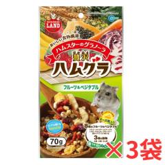 �R�Z�b�g�n���X�^�[�E���X�Ȃǂ̏������p����I�n���X�^�[�̃O���m�[���ґ�n���O�� �t���[�c&�x�W�^�u���~�R��[�}���J��]