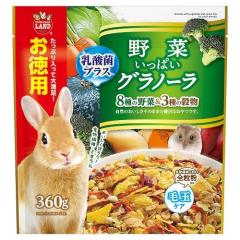 �������E�������b�g�E�n���X�^�[�Ȃǂ̏������p����I��؂����ς��O���m�[�� �����p360��[�}���J��]