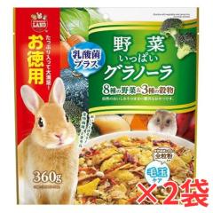 �Q�Z�b�g�@�������E�������b�g�E�n���X�^�[�Ȃǂ̏������p����I��؂����ς��O���m�[�� �����p360���~�Q�Z�b�g[�}���J��]