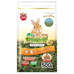 �n�D���̍������i���Ȗq�������I���܂����I�@�o�j�[�O���[�h�A���t�@���t�@ 500g�@MR-859�@�}���J��