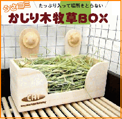 [KAWAI]�����~�~�I������ؖq���a�n�w