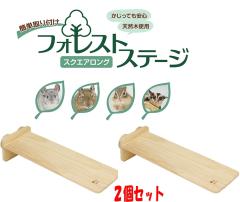 �Q�Z�b�g�I�`���`���E�������E�e�O�[�E�������K�E�V�}���X�������O�^�C�v�̃X�e�[�W�B�t�H���X�g�X�e�[�W �X�N�G�A�����O�~�Q�Z�b�g[