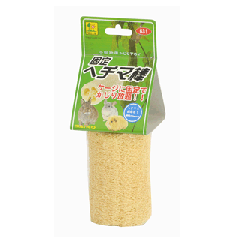 �������p������TOY�I�Œ�w�`�}�_ �@�O�W����