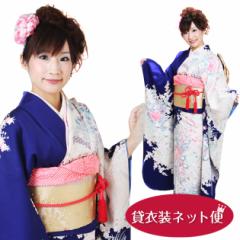 �U�� 2���`12���g�p �U�� �����^�� �F �l�G�� NT-79 ��������