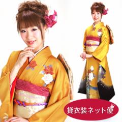 �U�� 2���`12���g�p �U�� �����^�� ���炵�F �o���ɖP�� NT-211 ��������