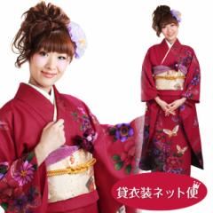 �U�� 2���`12���g�p �U�� �����^�� ���[�Y�F ��������������� NT-210 ��������