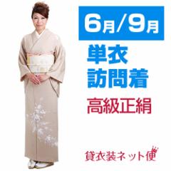 �K�⒅ �P�߁i6��/9�����������j �x�[�W���F NT-301 ���{�Q�� ���܎O ���w�� ������ ��������