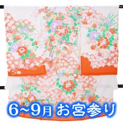 �ėp �W ���{�Q�� �����^�� �ĕ� ���̎q �ԐF�E���F/�Ԏ� ro-138 �Y�� �����^�� ��������