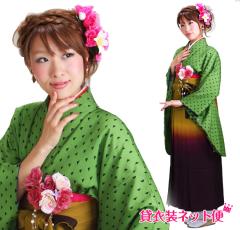 ���Ǝ� �уZ�b�g �уZ�b�g���f�B�[�X ���Ǝ� �� �����^�� ��w���Ǝ� ��w ���Ǝ� �ΐF �R�V�m �������� FAG0246