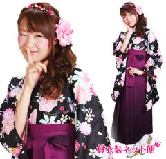 ���Ǝ� �уZ�b�g �� �����^�� ���w�� ���w�����Ǝ��уZ�b�g ���Ǝ� ���̎q ���F �Ԃ������� �ԕ� �������� FAG0294