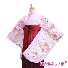 ���Ǝ� �уZ�b�g �� �����^�� ���w�� ���w�����Ǝ��уZ�b�g ���Ǝ� ���̎q �s���N �ԕ� �������� FAG0301