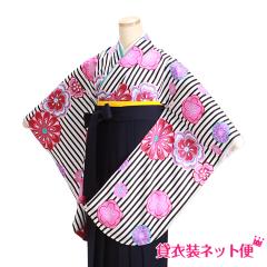 ���Ǝ� �уZ�b�g �� �����^�� ���w�� ���w�����Ǝ��уZ�b�g ���Ǝ� ���̎q �����F ���_���ԃX�g���C�v �������� FAG0304