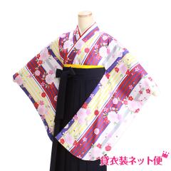 ���Ǝ� �уZ�b�g �� �����^�� ���w�� ���w�����Ǝ��уZ�b�g ���Ǝ� ���̎q ���F ���X�g���C�v �������� FAG0305