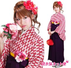 ���Ǝ� �уZ�b�g �уZ�b�g���f�B�[�X ���Ǝ� �� �����^�� ��w���Ǝ� �ԐF ���R�� ��������