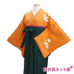 ���Ǝ� �уZ�b�g ���� �уZ�b�g���f�B�[�X ���Ǝ� �� �����^�� �I�����W�F �o�� �������� FAGH010