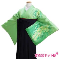 ���Ǝ� �уZ�b�g ���� �уZ�b�g���f�B�[�X ���Ǝ� �� �����^�� �O���[���F �������� FAGH016