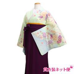 ���Ǝ� �уZ�b�g �уZ�b�g���f�B�[�X ���Ǝ� �� �����^�� ���ΐF�E�����O���[�F �ڂ���ɓ� �������� FAGH183