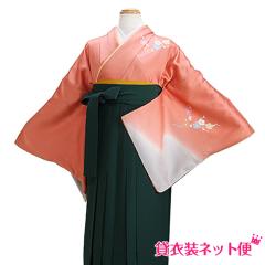 ���Ǝ� �уZ�b�g ���� �уZ�b�g���f�B�[�X ���Ǝ� �� �����^�� �T�[�����s���N�F �� �������� FAGH026