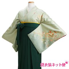 ���Ǝ� �уZ�b�g ���� �уZ�b�g���f�B�[�X ���Ǝ� �� �����^�� �O���[���F �������� FAGH028