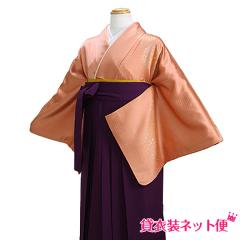 ���Ǝ� �уZ�b�g ���� �уZ�b�g���f�B�[�X ���Ǝ� �� �����^�� �Ԓ��F �������� FAGH035