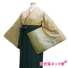 ���Ǝ� �уZ�b�g ���� �уZ�b�g���f�B�[�X ���Ǝ� �� �����^�� ���F �������� FAGH055