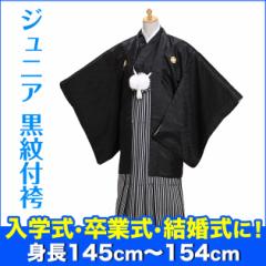 ���w���� ���Ǝ� ����t�у����^�� �Ȍсy���z8-12 ��������