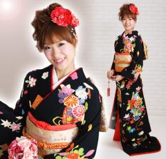 �����U�������^�� �� �F�U�� �������U�� NT-250 ���n �ԕ� �ԉ� ��������