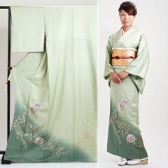 �K�⒅ �����^�� �t���� �G�������h�F NT-53 ���{�Q�� ������ ��������