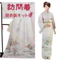 �K�⒅ �����^�� ���� �t���� �A�C�{���[ NT-8003 ���{�Q�� ������ ��������