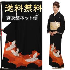 ���� �����^�� �����ȕ� NT-306 �������t���Z�b�g ������ 30�� 40�� 50�� ��������