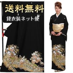 ���� �����^�� NT-917 �������t���Z�b�g ������ 40�� 50�� ��������