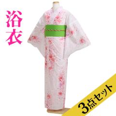 ���� �����^�� NT-y003 ����3�_�Z�b�g�����߁E�сE���ʁ����s���N�F/�� ������ ��������