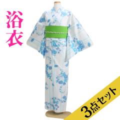 ���� �����^�� NT-y011 ����3�_�Z�b�g�����߁E�сE���ʁ����n�ɐ��F/�ԁ��X�g���C�v�g�� ������ ��������