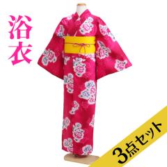 ���� �����^�� NT-y020 ����3�_�Z�b�g�����߁E�сE���ʁ��Z�s���N�F/�� ������ ��������