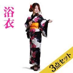 ���� �����^�� NT-y040 ����3�_�Z�b�g�����߁E�сE���ʁ������[�Y�F/�� ������ ��������