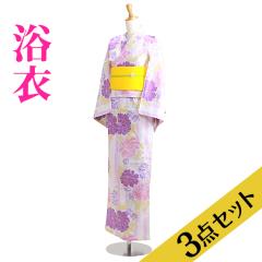 ���� �����^�� NT-y051 ����3�_�Z�b�g�����߁E�сE���ʁ����F/�p�X�e��䉖� ��������