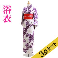 ���� �����^�� NT-y060 ����3�_�Z�b�g�����߁E�сE���ʁ���䉖� ���̗t ��������