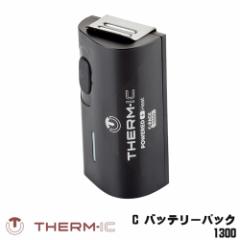 THERM-IC T[~bN q[eBOeNmW[ C obe[pbN T41-0101-1001300