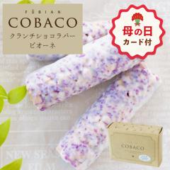 �y��̓� ����P10�{��~4/30 23:59�z��̓� ���َq �v�`�M�t�g 2026 �`���R �b BeFactory COBACO �N�����`�V���R���o�[�i�s�I�[�l�j3�{ �y