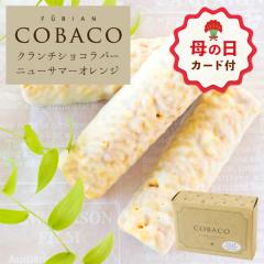 �y��̓� ����P10�{��~4/30 23:59�z��̓� ���َq �v�`�M�t�g �b BeFactory COBACO �N�����`�V���R���o�[ �j���[�T�}�[ �I�����W 3�{ �y0