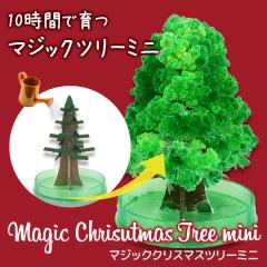 ~jc[ }WbNNX}Xc[ }WbNc[ ~j@ 10ԂňsvcȃNX}Xc[ NX}X u G CeA