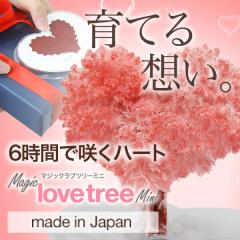 �}�W�b�N���u�c���[ �~�j 6���Ԃň�s�v�c�ȃc���[ �o�����^�C�� �z���C�g�f�[ �΂�܂� �a���� ���� �����o�� �o�Y�j�� ��̓� ���̓�