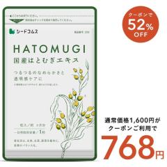 yN[|52OFFzY͂ƂނGLX 3 Tvg NCj e ngM NHi 