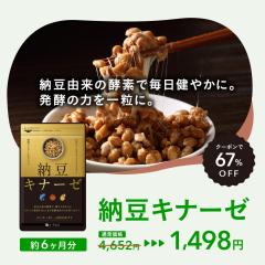 �y�N�[�|����3154�~OFF�z�[���L�i�[�[ ��6���� �T�v�������g DHA EPA �}�g���R�s�� �A���X�e���[�� ���N�H�i