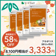 �y����2026�z�v���|���X ��12������ �O���[���v���|���X ���N�H�i �T�v�������g