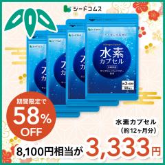 �y����2026�z���f�J�v�Z�� ��12������ ���e �X�L���P�A  ���N�H�i