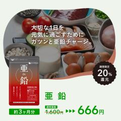 �y20���Ҍ��^�C���Z�[���z���� ��3������  �T�v�� �����̉��߂����e�P�A�█���̃o�C�^���e�B�ւ��X�X���ł� power ���N�H�i 