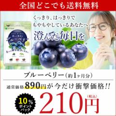 【P10％還元SALE】ブルーベリー 約1ヵ月分 サプリ サプリメント アントシアニン 送料無料 健康食品