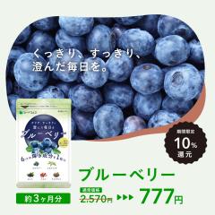 【P10%還元SALE】ブルーベリー 約3ヵ月分 サプリメント アントシアニン 健康食品