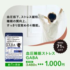 [�^�C���Z�[��]���� ���� �X�g���X GABA ��1������ �T�v�������g �@�\���\���H�i GABA1��100mg�z�� �e�A�j�� �g���v�g�t�@�� �O���V�� �M